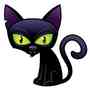 petitchatnoir