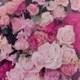 Lavieenrose123